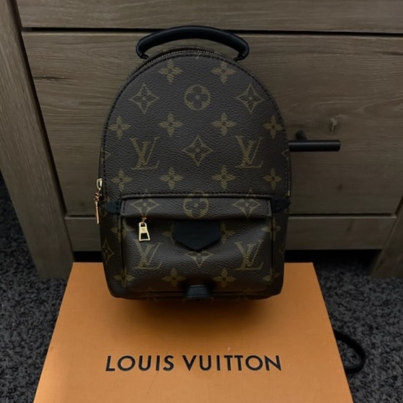 Louis Vuitton Palm Springs Mini - Picture 1 of 1